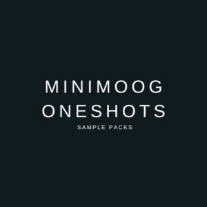 100+ Minimoog Model D Samples Vol.1