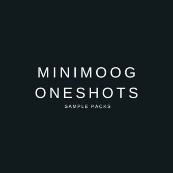 100+ Minimoog Model D Samples Vol.1