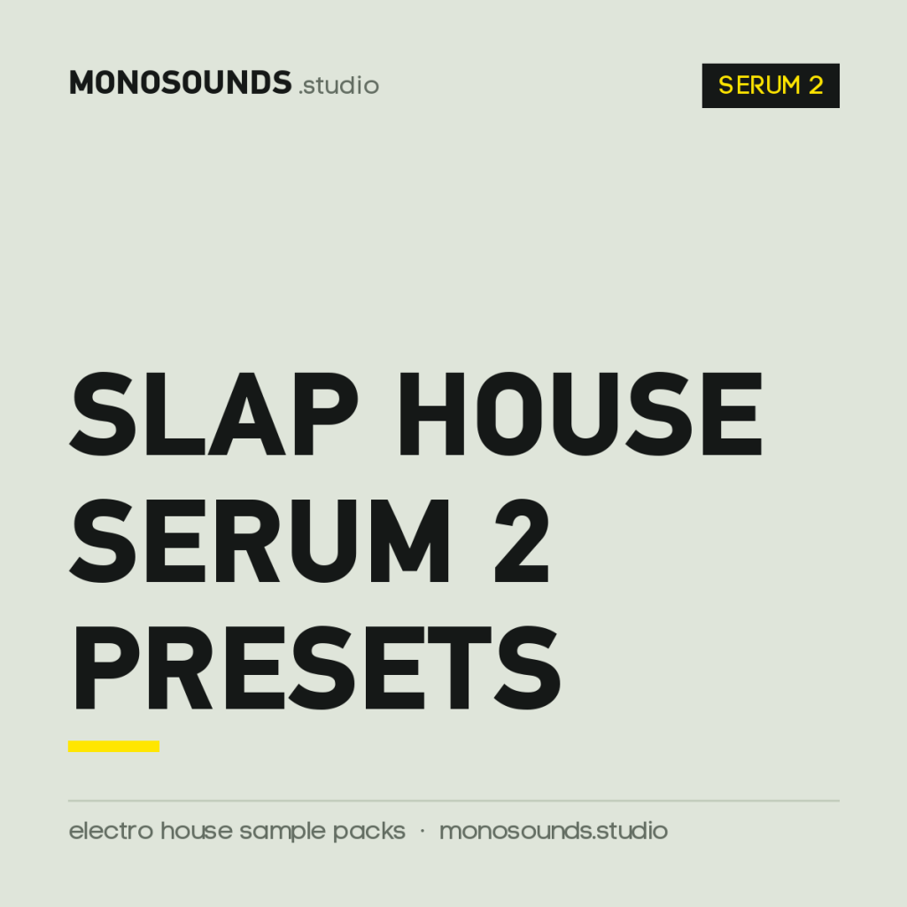 Slap House Serum 2 Presets