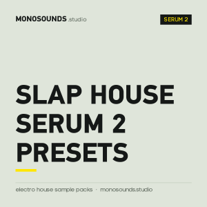 Slap House Serum 2 Presets